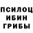 Псилоцибиновые грибы Magic Shrooms Lajgut Szvitlana