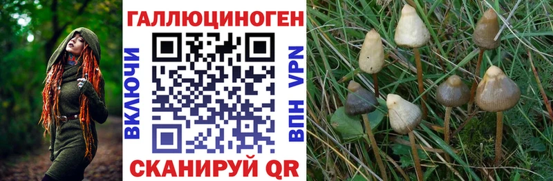 продажа наркотиков  кракен онион  Галлюциногенные грибы Magic Shrooms  Тула 